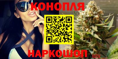 прущие грибы Чебаркуль