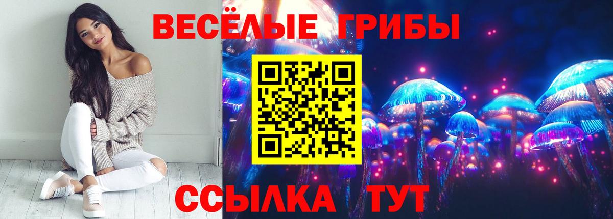 Галлюциногенные грибы мухоморы  Вход с VPN  Лосино-Петровский  Галлюциногенные грибы Cubensis 
